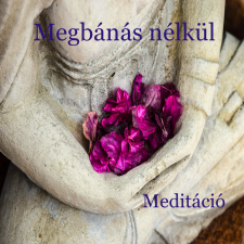Voiz Megbánás nélkül - meditáció egyéb e-könyv