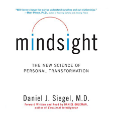 Voiz Mindsight - Elmetudatosság - Rövidített könyv egyéb e-könyv