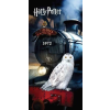 Warner Bros Harry Potter fürdőlepedő, strandtörölköző 70x140 cm Nr3