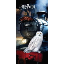 Warner Bros Harry Potter fürdőlepedő, strandtörölköző 70x140 cm Nr3 lakástextília