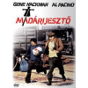 Warner Bros * Madárijesztő (DVD)