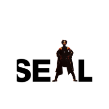 Warner Seal - Seal (Cd) soul