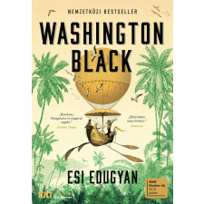 Washington Black regény