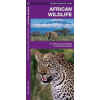 Waterford Press Ltd African Wildlife | James Kavanagh,Raymond Leung