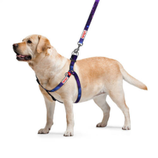WAU DOG WAUDOG harness NASA21 - hám (QR kódos, NASA21 dizájn, müa.csatt) kutyák részére (60-90cm/25mm) M nyakörv, póráz, hám kutyáknak