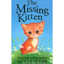 WEBB:MISSING KITTEN gyermek- és ifjúsági könyv