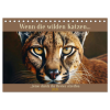  Wenn die wilden Katzen leise durch ihr Revier streifen (Tischkalender 2026 DIN A5 quer), CALVENDO Monatskalender