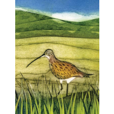  Wild Birds Pocket Notebook: Curlew – Sarah Ross-Thompson naptár, kalendárium