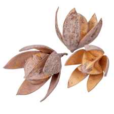  Wild lily falfestékes old pink 9db-os dekorációs kellék