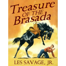 Wildside Press Treasure of the Brasada egyéb e-könyv