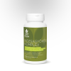 Wise Tree Naturals WTN Rózsagyökér komplex 60 kapszula