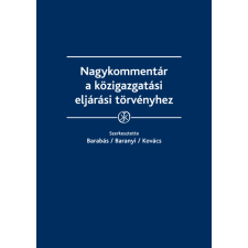 Wolters Kluwer Nagykommentár a közigazgatási eljárási törvényhez egyéb e-könyv