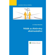 Wolters Kluwer Példák az áfatörvény alkalmazásához egyéb e-könyv