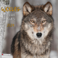 Wolves 2024 naptár, kalendárium