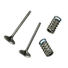 WOSSNER WÖSSNER kipufogószelep acél - Suzuki DR-Z400/LT-Z400 egyéb motorkerékpár alkatrész