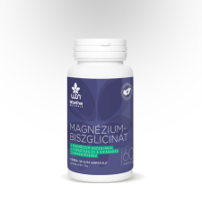 WTN WTN Magnézium-biszglicinát 60 kapszula vitamin és táplálékkiegészítő