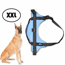  XXL-es kutyahám / 40-60 kg-os kutyák számára - világoskék nyakörv, póráz, hám kutyáknak