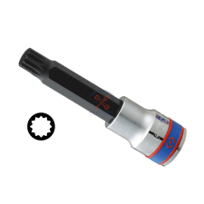  XZN (spline) bitfej 1/2&quot; hosszú M 6 dugókulcs