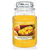  YANKEE CANDLE Mango Peach Salsa 623g (5038580000405)