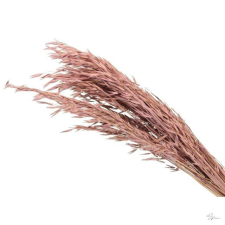  Zab csokor 100 gr. 75 cm pink @ dekorációs kellék