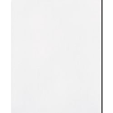 Zalakerámia ZBK 701 fehér csempe fényes 20x25cm I.o. 1.5m2/doboz csempe