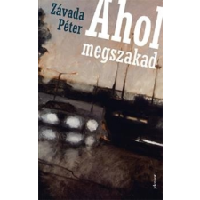 Závada Péter - Ahol megszakad egyéb könyv