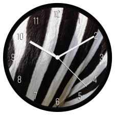  Zebra minta falióra falióra
