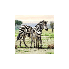 Zebras papírszalvéta 33x33cm,20db-os papírárú, csomagoló és tárolóeszköz