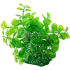  Zöld akváriumi műnövény ovális levelekkel 15 cm