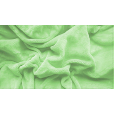  Zöld mikroplüss lepedő 90x200 cm lakástextília