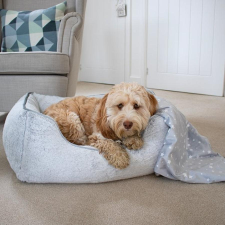 ZOON Szögletes velúr kutyafekhely - szürke  M szállítóbox, fekhely kutyáknak