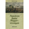 Zrínyi Napóleon hadai Magyarországon