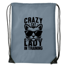 ZSONA DEKOR Crazy cat - Sport táska szürke kézitáska és bőrönd