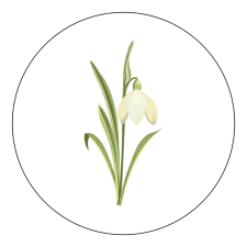 ZSONA DEKOR Vasalható Ovis jel csomag Hóvirág mintával ajándéktárgy