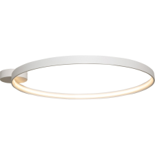 Zuma Line Circle LED ZU-LA0771 mennyezeti lámpa világítás